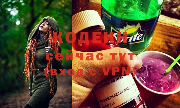 индика Алексин