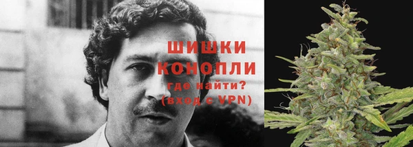 spice Алзамай