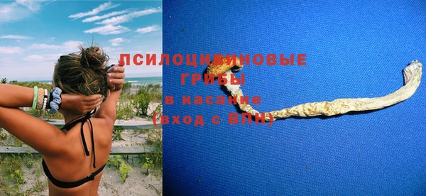 стафф Алексеевка