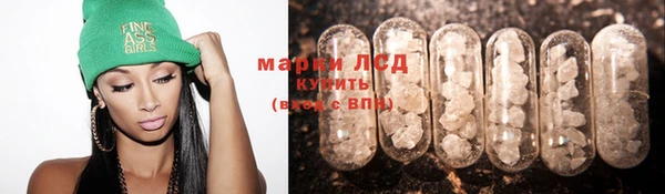 индика Алексин