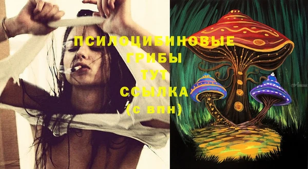 твердый Слюдянка