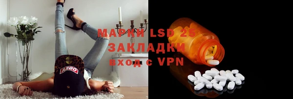 индика Алексин