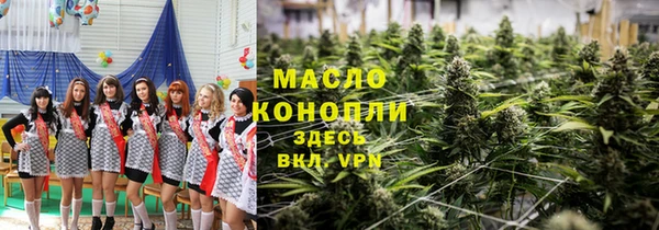 индика Алексин