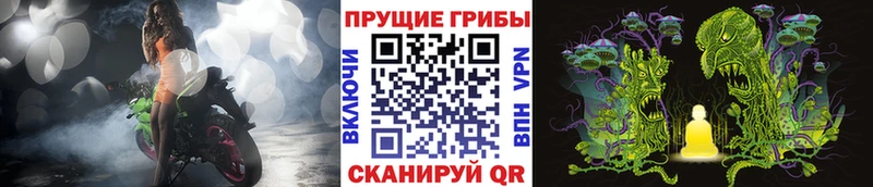 Псилоцибиновые грибы Magic Shrooms  Ефремов 