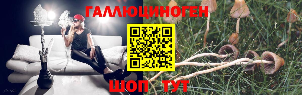 Ефремов  Галлюциногенные грибы GOLDEN TEACHER  Вход с VPN 